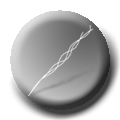 twh1.png